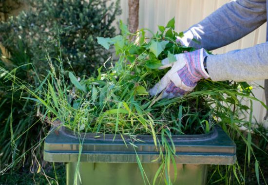Green bin container filled with garden waste. Hands wearing gardening gloves doing spring clean up in the garden. Recycling garbage for a better environment.